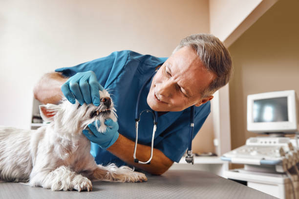 Best Emergency Wisdom Teeth Removal in Pineland, TX