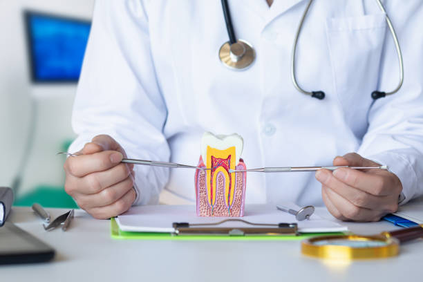 Best Same-Day Emergency Dentist in Pineland, TX